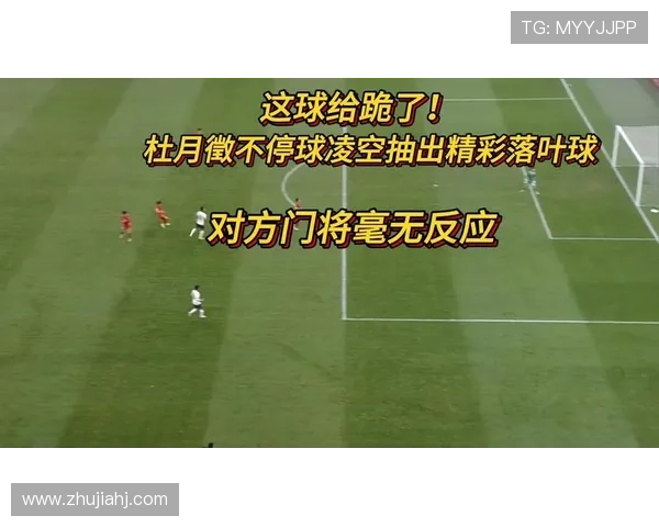 杜月徵绝妙落叶球安东尼奥狂欢